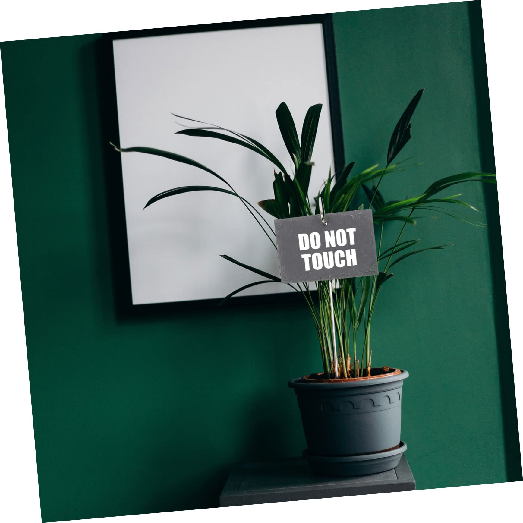 TOYANDONA Étiquettes de Jardin en Ardoise et Fer, Résistantes et Écriture Facile, Décoratives pour Fleurs et Plantes, pour Décorer Votre Cour