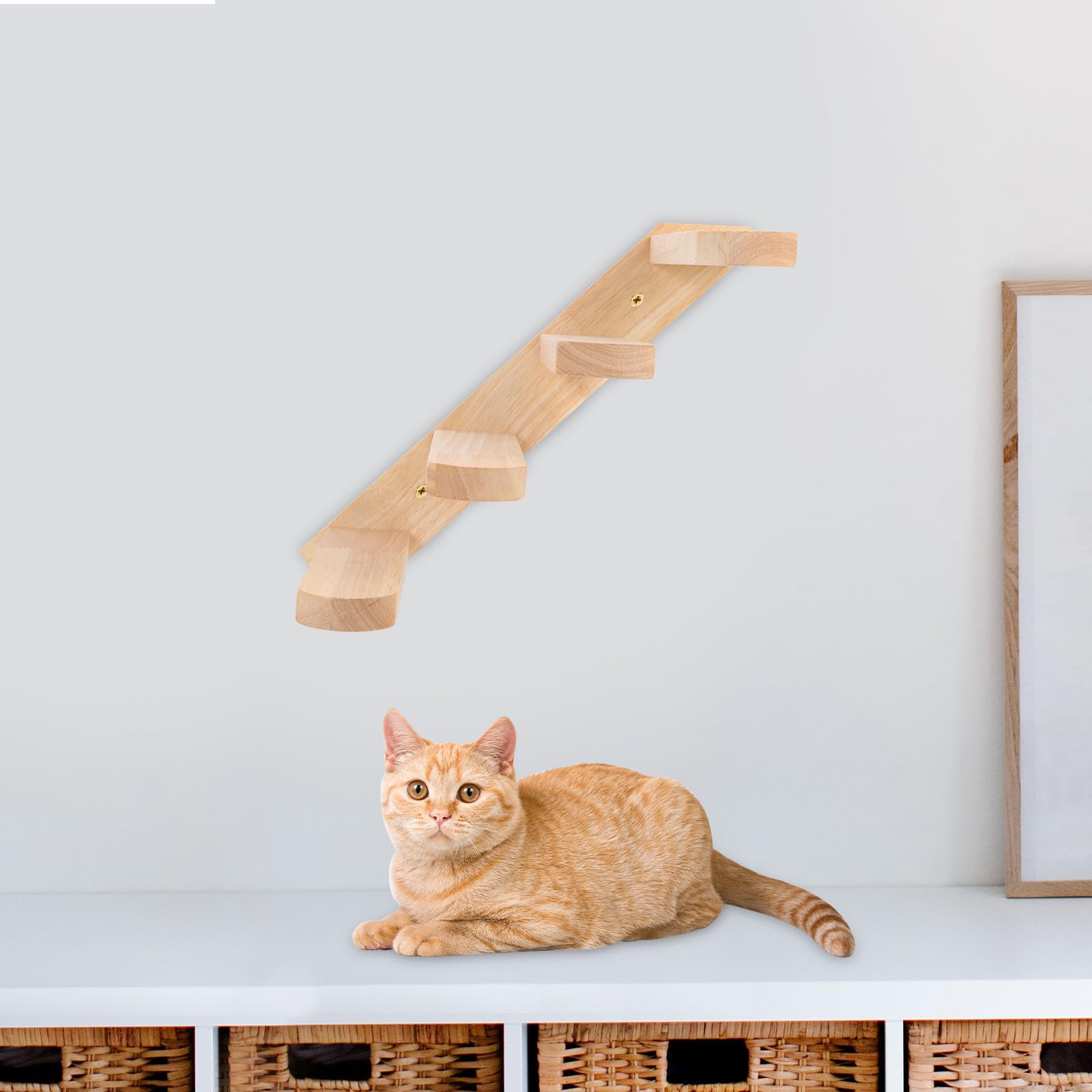 Homoyoyo Katzenwandtreppe Katzenregal Kletterbrett für Katzen Khaki 15lb für Hauskatzen und Kätzchen für Innenbereich