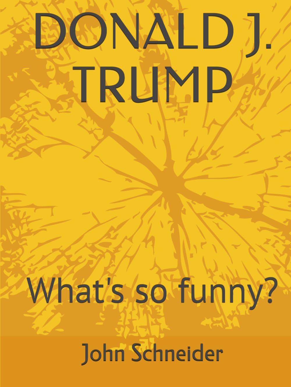 DONALD J. TRUMP: What so funny?