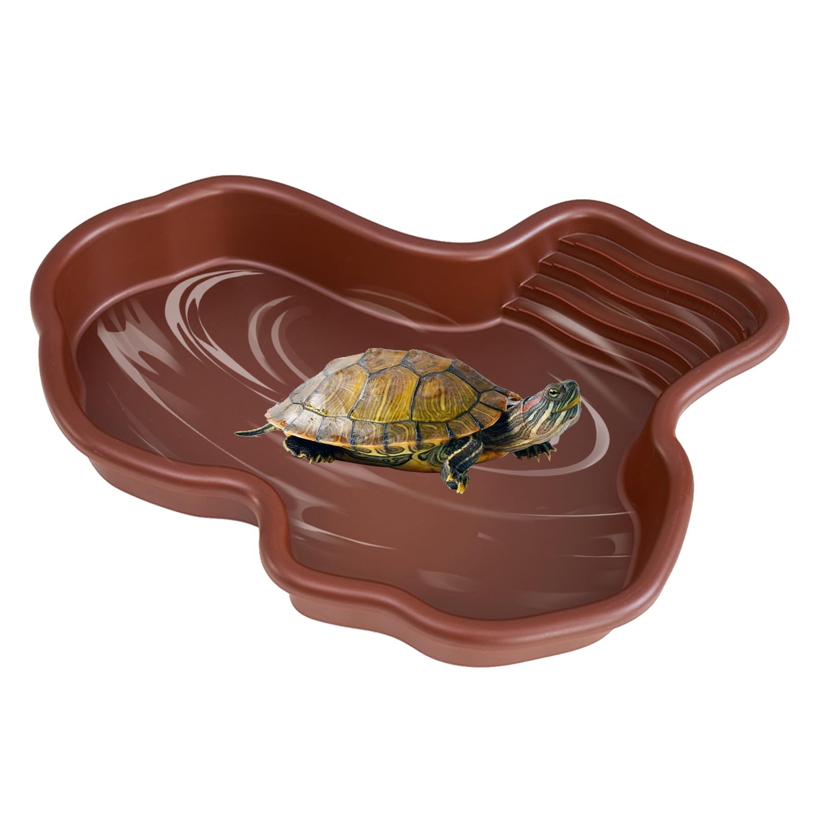 Vasca da bagno rettile, Ciotola per Tartarughe 31*25*5cm, Piscina da Bagno per Rettili, piscina per tartarughe di terra, Vasca da Bagno per Rettili per Tartarughe, Draghi Barbuti, Lucertole e Gechi