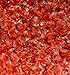 LifeSavers Hard Candy Five Flavor - 2 Pounds Bulk Wholesale (Orange)