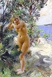 After The Bath by Anders Zorn