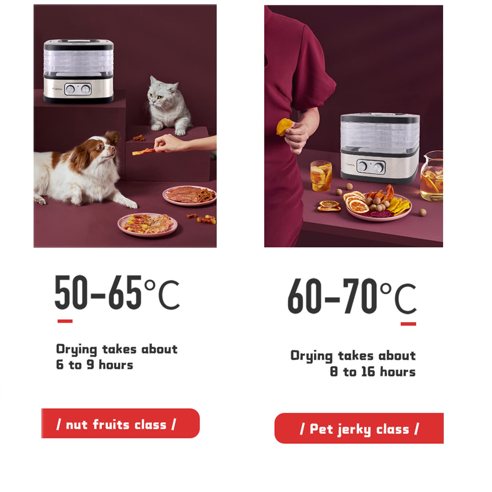 Deshidratador de Alimentos Eléctrico de 240 W, Secador de Frutas de Gran Capacidad de 5 Bandejas, Seguro, Fácil de Limpiar, con Control de Temporizador y Termostato, Carne Seca, Frutas, Verduras