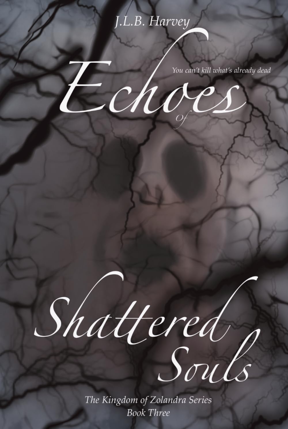 Echoes of Shattered Souls: The Kingdom of Zolandra Series. Book 3