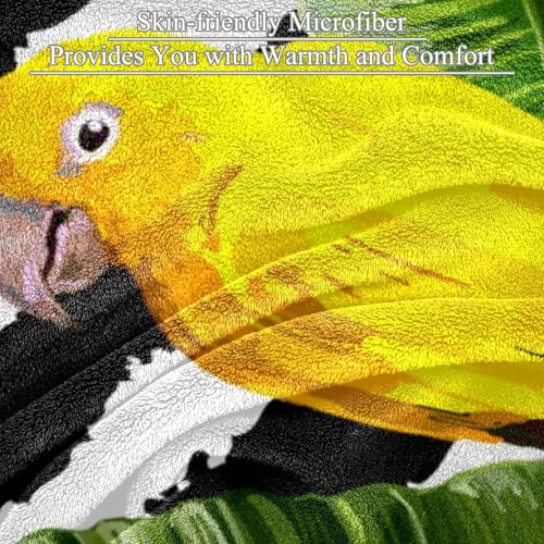 Couverture polaire rayure perroquet douce : jeté de canapé microfibres chaud
