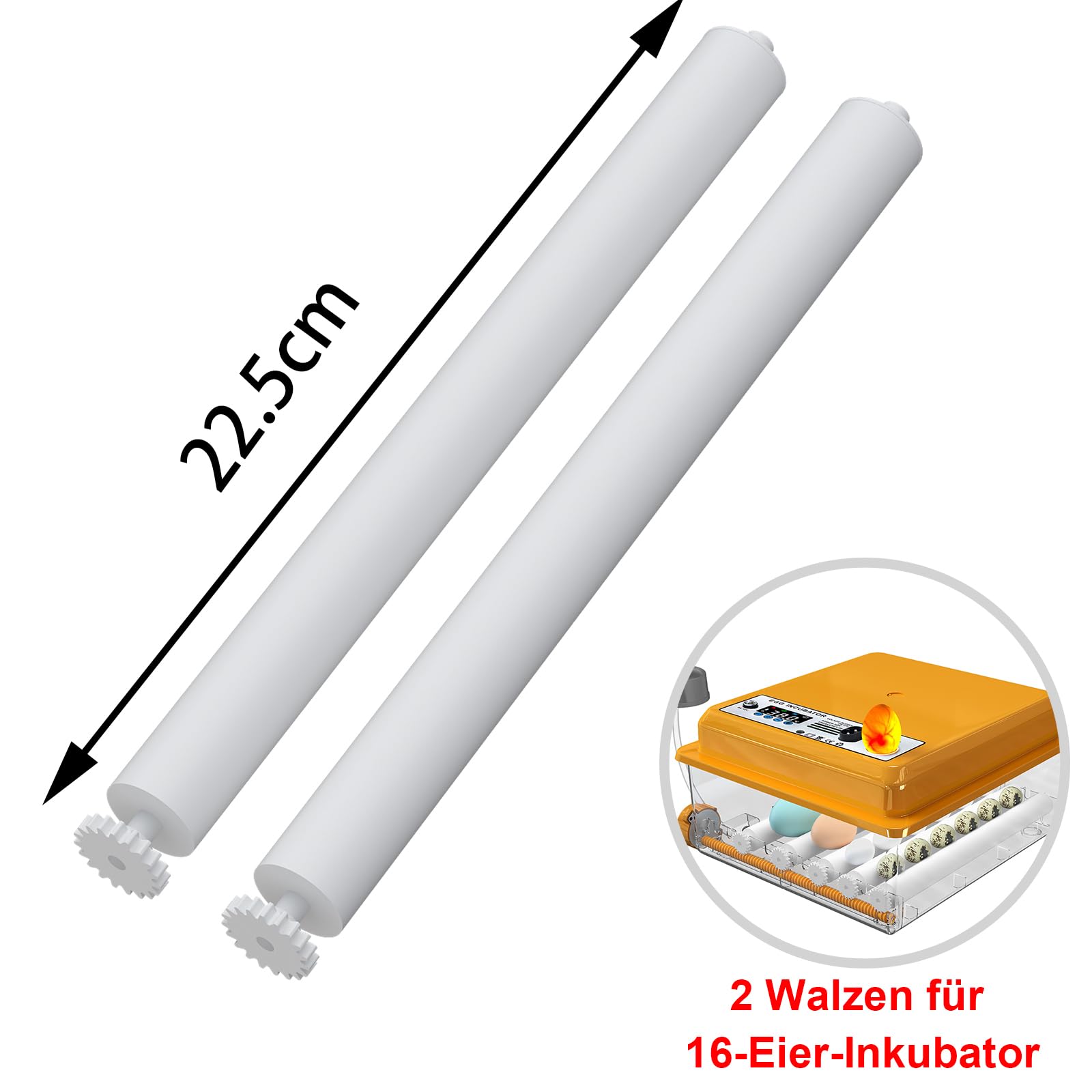 Walzen für 16 Inkubator