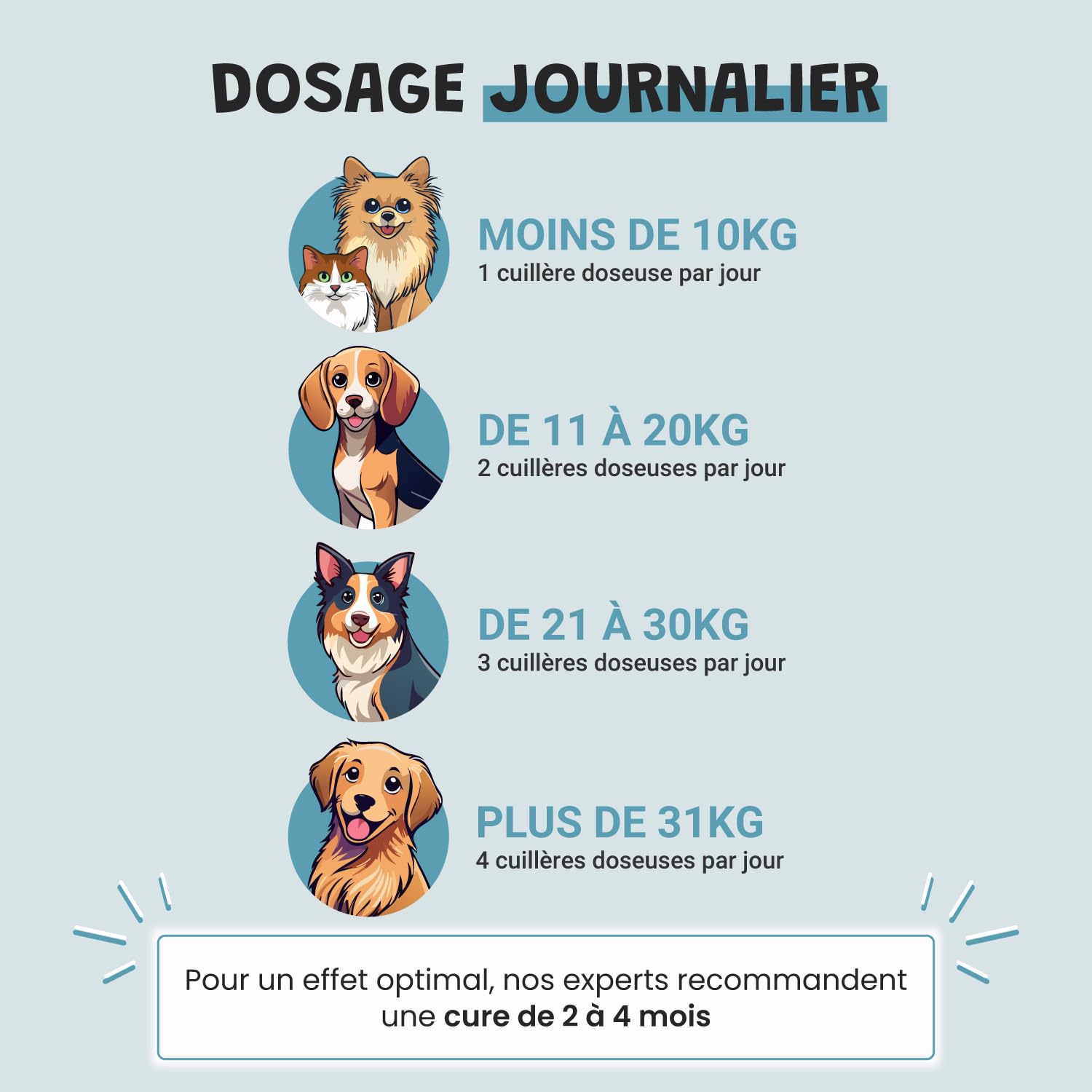 Probiotiques Chien Chat - 135 Milliards UFC - Flore Intestinale Digestion Transit - Lactobacillus Inuline Chicorée - Goût Poulet - 100g - Fabriqué en France - Museau & Co