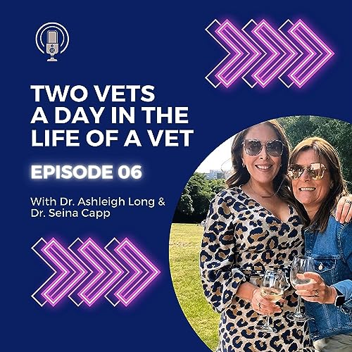 Episode 6: Two Vets - A Day in the Life of A Vet