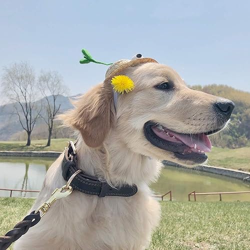 Miniatura 2 de Collar de perro de cuero para perros medianos con correa de perro de cuero trenzado de 6 pies x 1/2 pulgadas