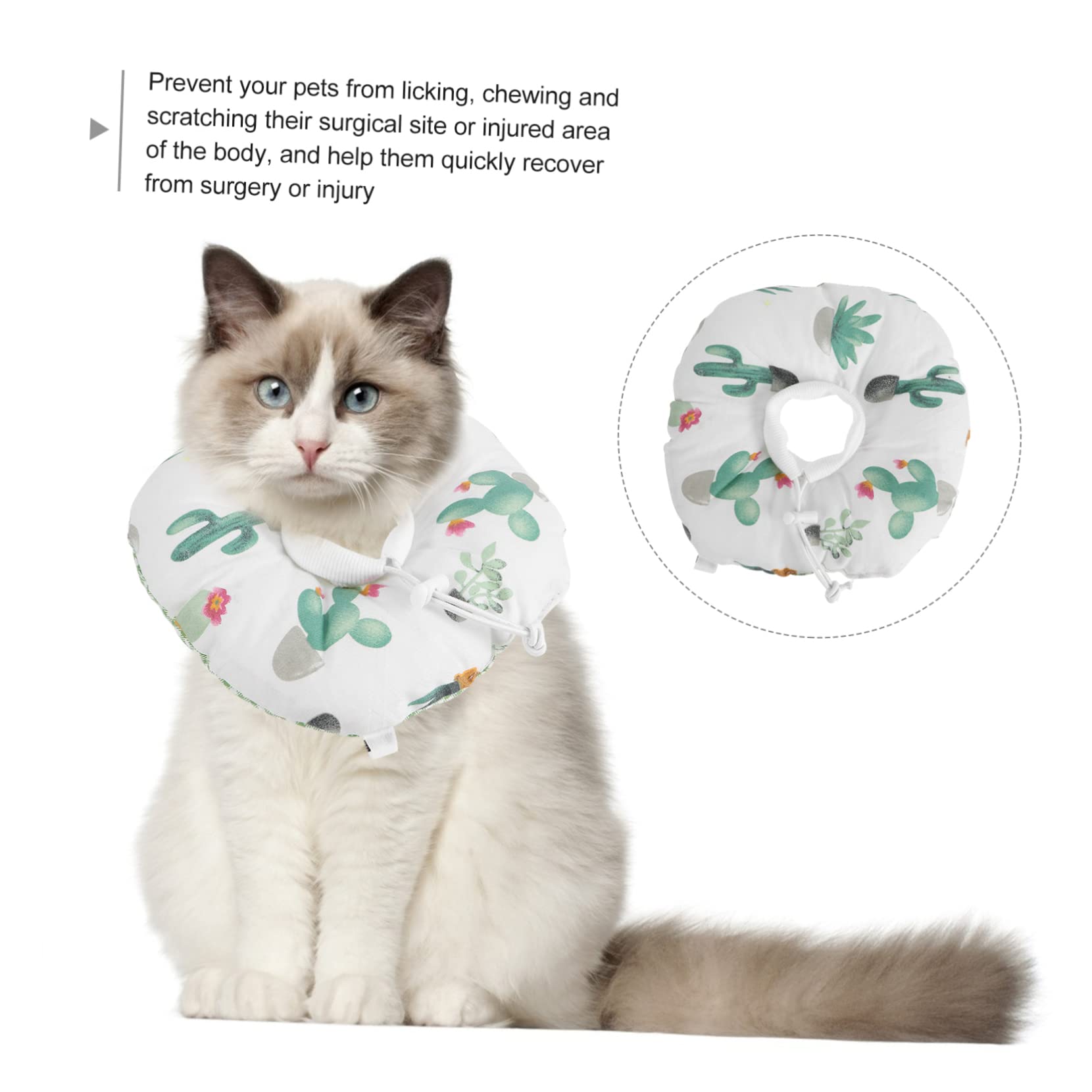 POPETPOP 5pezzi Collare Elisabettiano Per Gatti Comfort Ottimale Per Recupero Protezione Completa Per Ferite Facile Da Indossare Per Gattini e Cani Piccoli