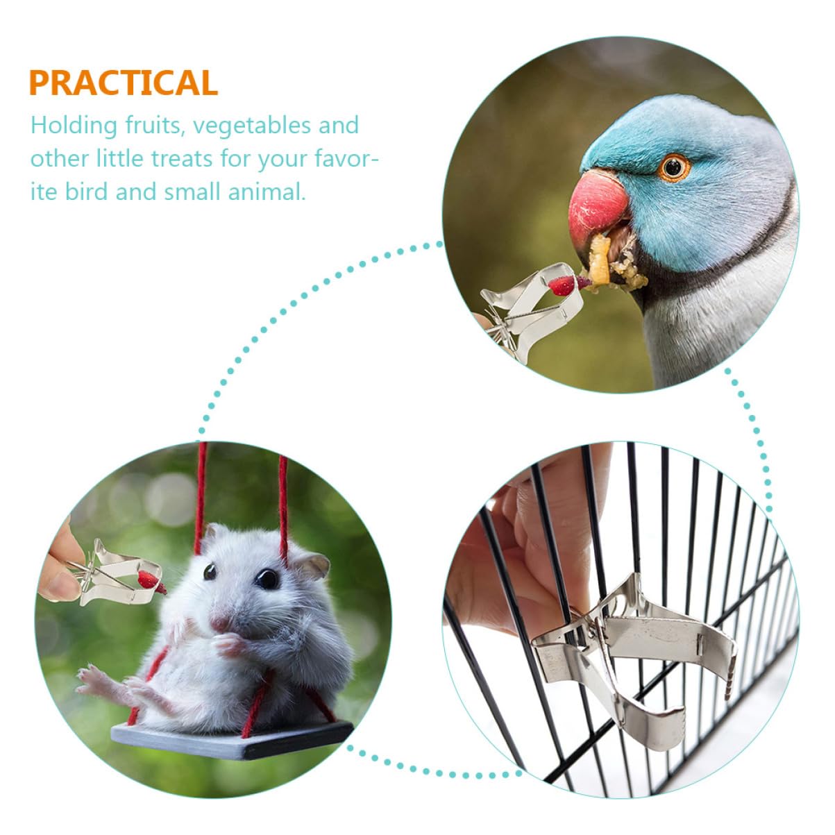 VANZACK 30piezas Clips De Fruta para Pájaros Accesorios De Alimentación para Jaulas Soporte De Acero Inoxidable para Comida De Aves y Pequeños Roedores