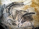 Horses: Cave Art : Art Print