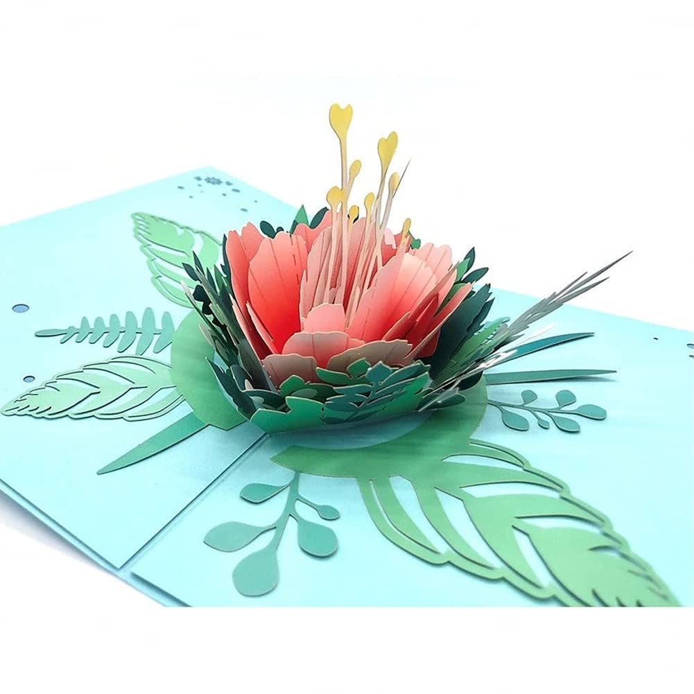 Amazon Com Paper Spiritz Peony Pop Up Greeting Cards Mothers Day Cards 3d Popup Thanksgiving Card For Valentines Day Handmade Graduation Sympathy Blank Card Flower Bouquet Birthday Cards With Envelopes All Occasion Amazon Com Paper Spiritz Peony Pop Up Greeting Cards Mothers Day Cards 3d Popup Thanksgiving Card For Valentines Day Handmade Graduation Sympathy Blank Card Flower Bouquet Birthday Cards With Envelopes All Occasion