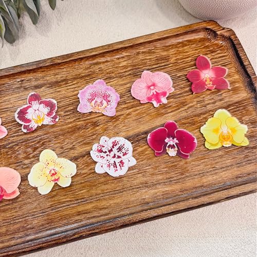 Imanes de Refrigerador de Acrílico Orquídea, 15 Piezas miniatura 6