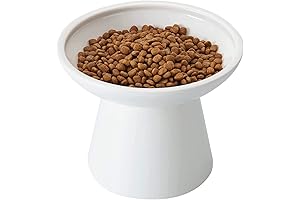 Extra Wide Elevated Ceramic Cat Bowls