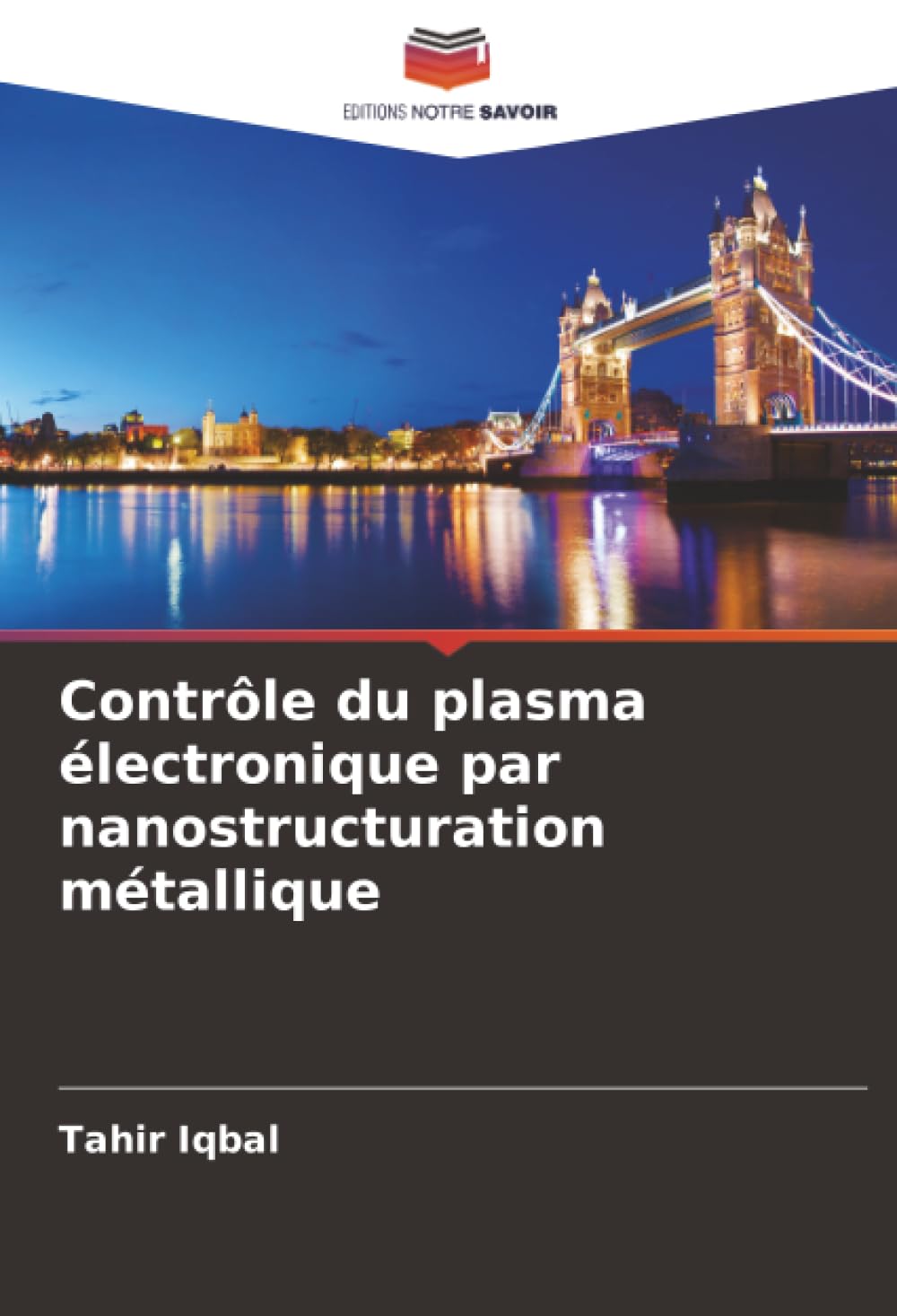 Contrôle du plasma électronique par nanostructuration métallique