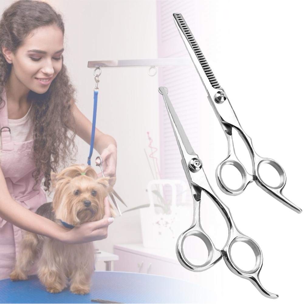 Hundesalon Schere Set Edelstahl - 4-teiliges Grooming Kit Für Hunde & Katzen