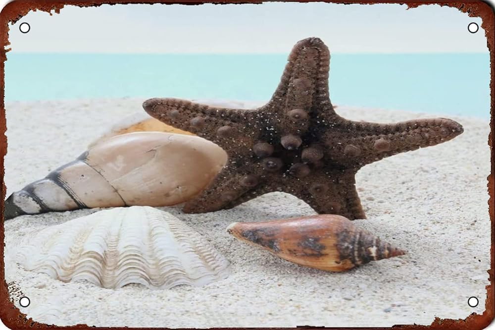 Kwqdozf As Pic Vintage Metal Tin Sign Seashell Art Wall Art For Home Kitchen, 8X12 Inch
