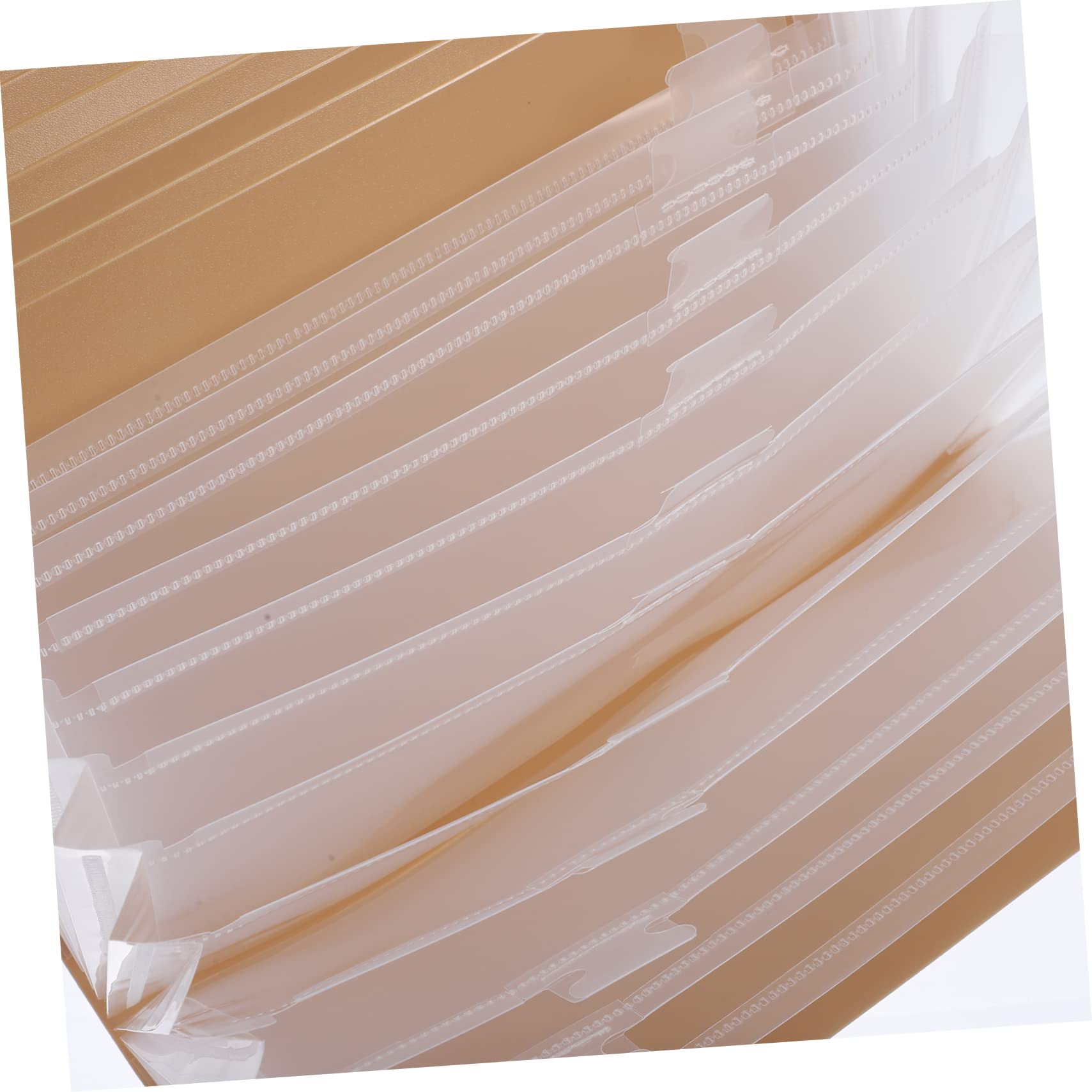 E Robusto Organizer Per Cartelle Portadocumenti in Materiale Pp Con 13 Tasche Per Una Facile