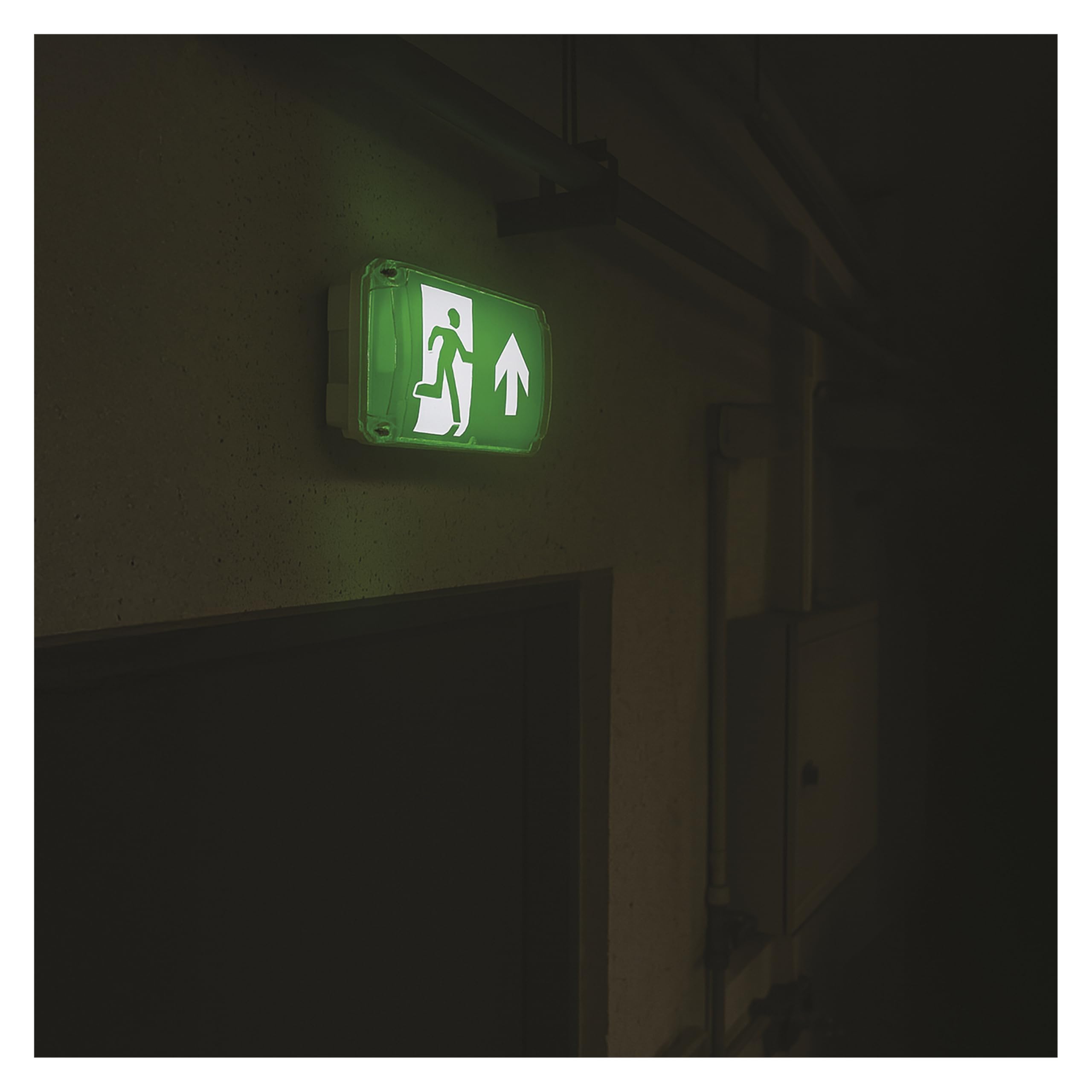 EMOS - Lampe de sécurité LED NESSI 4 W avec batterie - Éclairage anti-panique avec bouton de test manuel et automatique - Mode d'urgence 3 heures - Montage en saillie - Lumière blanche froide
