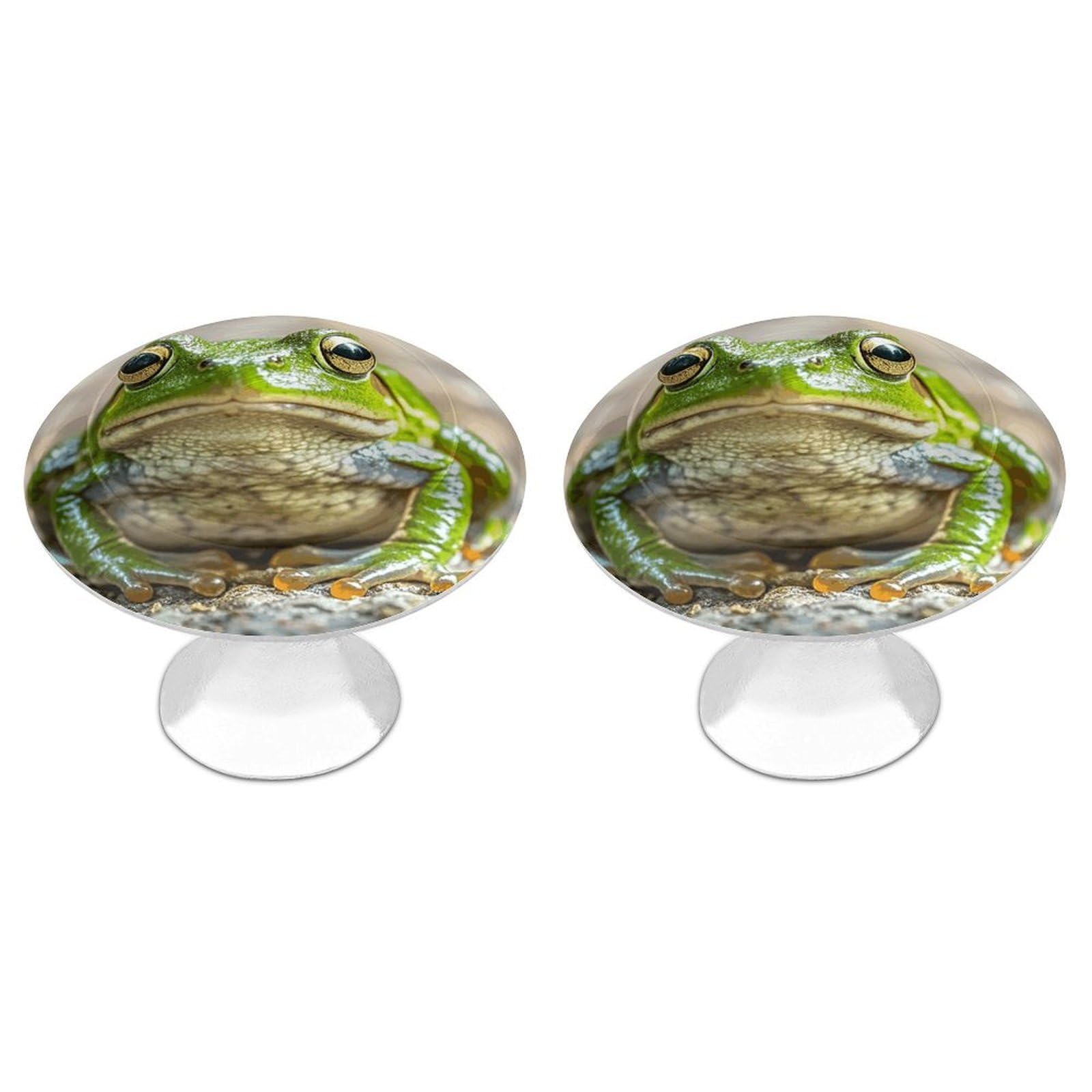 FekiLoot Cute Frog Cabinet Knob 2 Pack Mini Round Drawer Pulls Stainless Steel Dresser Drawer Knobs Kitchen Drawer Hardware for Bathroom Dresser Closet Door Knobs