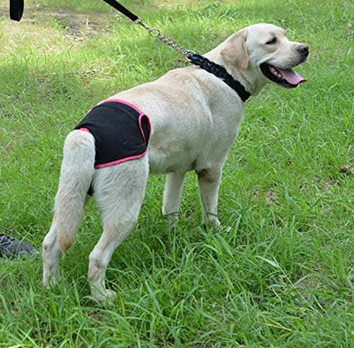 Oyccen 2 Pack Reusable Dog Nappies Physiological Pants Underwear Female Pet Sanitary Pads Hygiene Diapers for Small Medium and Large Dogs