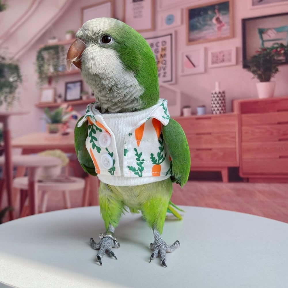 Bird Costume Bird Diaper Flight Suit Fake Two Pieces Hoodie Bird Clothes Cosplay Photo Prop for Parrots Parakeet Cockatiel Sun Conure, Bird Hoodie Small Animals Apparel (Carrot with Diaper,Macaw)