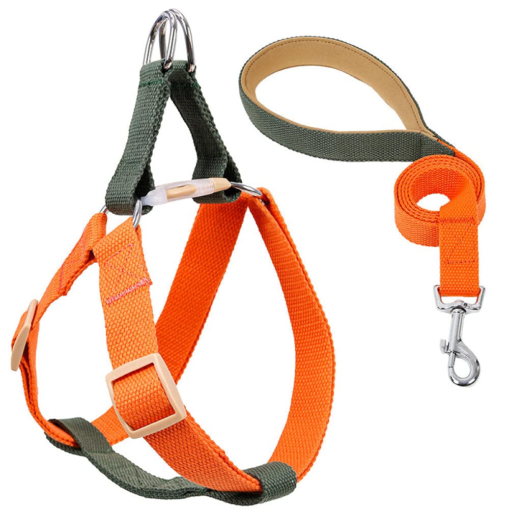 pettorina per cani, Con guinzaglio e pettorina for cani, guinzagli in nylon anti-tiro for di piccola taglia, set, collare GL(E,S)