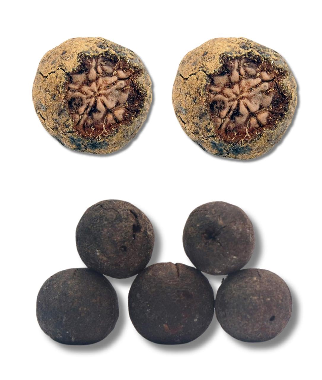 Natural Real Rudraksh Fruit with Rudraksha Cover Lab Certified,Get You Lucky Rudraksh || Open and See || Original (20)