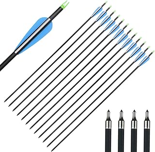 IRQ Archery 32Inch Carbon Arrow Practice Hunting Arrows with Removable Tips for Compound & Recurve Bow(Pack of 12)