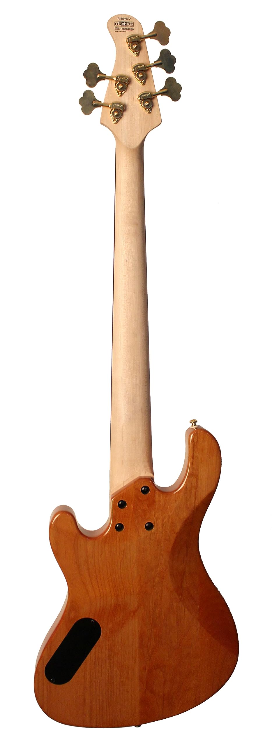 Amazon.com: Cort Rhythmic Series Jeff Berlin Signature 5-String