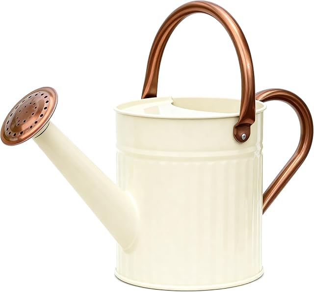 Bamworld Watering Can Indoor Stainless Steel Watering Can Indoor Outdoor Long Spout Water Can for Watering Plants 1/2 Gallon Plant Watering Cans Creamy-White