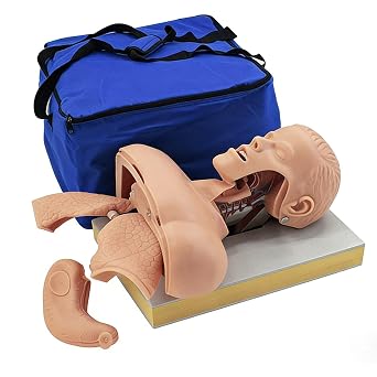 Advanced Oral Nasal Intubation Manikin with Alarm, Realistic Tracheal Intubation Training Simulator Model, PVC Material, Human tracheal Intubation Model for Science Education, Study, Practice