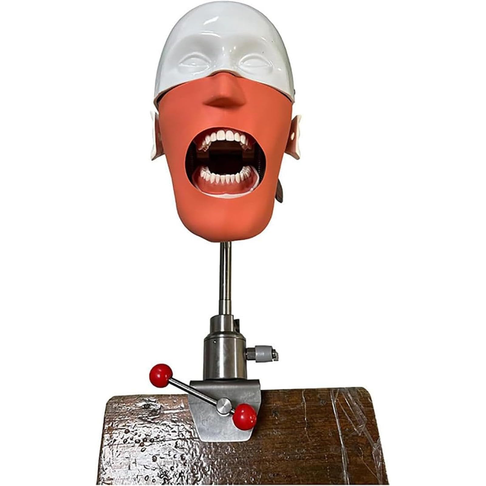 Dentalsimulator, Phantomkopf-Training, orales Dentalsimulationskopfmodell für die Ausbildung an Zahnschulen, praktische Demonstration mit Trainingshalterung A