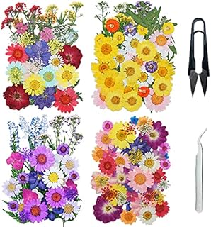 NA Cayway 160PCS Real Pressed Flowers Dry with Tweezers and Scissors Set, Dried Pressed Flowers Colorful Real Pressed Flowers for Resin Scrapbooking DIY Art Crafts, Epoxy Resin Jewelry, Soap Making