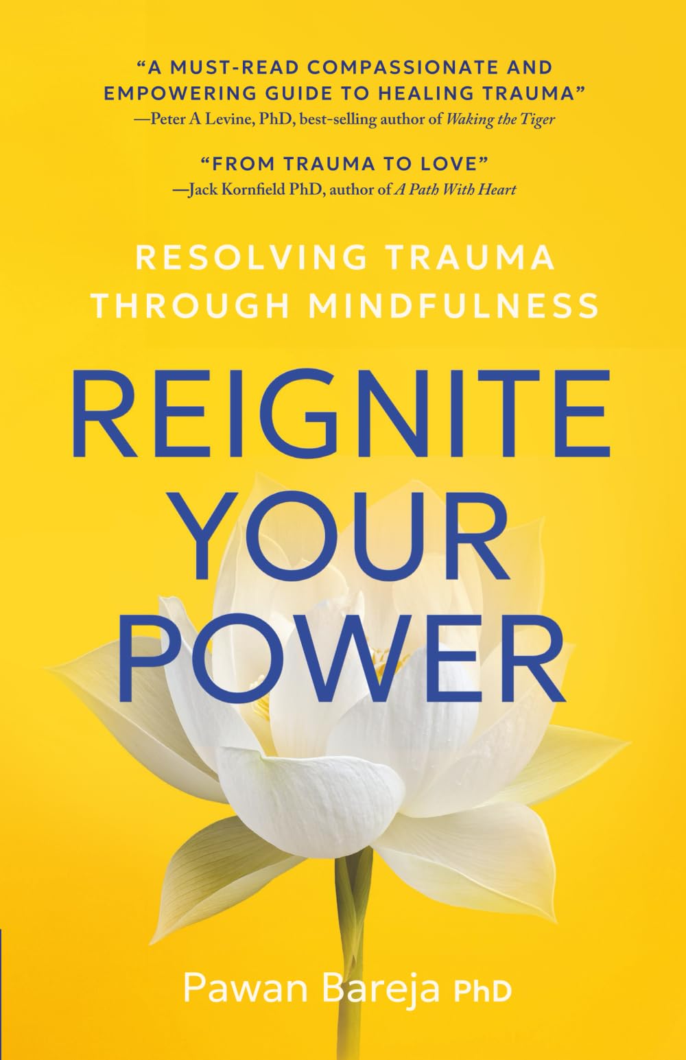 Reignite Your Power: Resolving Trauma Through Mindfulness
