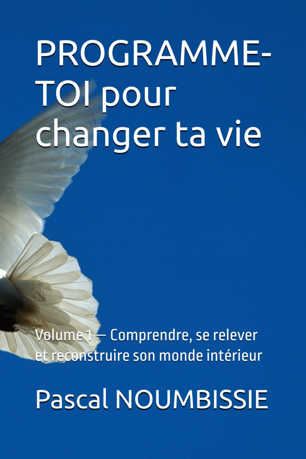 PROGRAMME-TOI pour changer ta vie: Volume 1 — Comprendre, se relever et reconstruire son monde intérieur