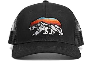 Patagonia Trucker Hat: The Ultimate Headwear for Outdoor Enthusiasts