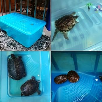 Amazon | カメ用水槽 亀 水槽 大型 飼育ケース プラスチック