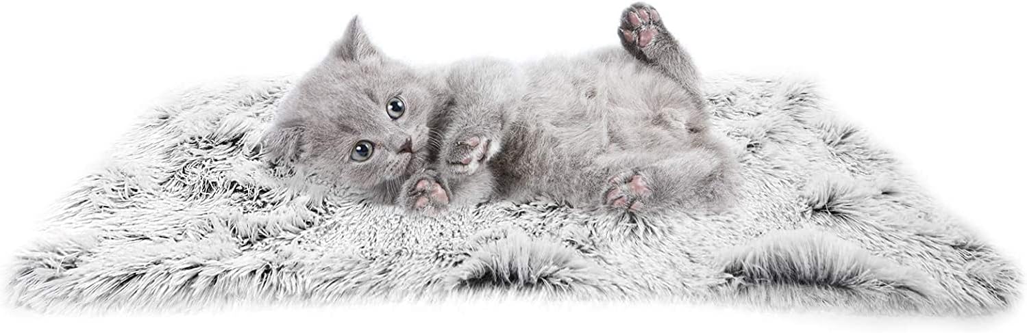 PJYuCien Fluffy Fleece Calming Cat Pet Throw Blanket, Super Soft and Warm for Indoor Cats and Dogs, Machine Washable, Puppy Blanket, Small, Grey, 16" * 24" - Image 5
