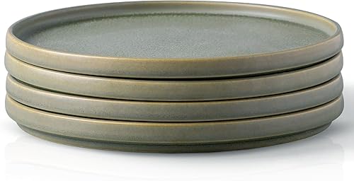 Miniatura 12 de AmorArc Juego de Platos de Cerámica para Cena y Ensalada, Set de 4, Juego de Platos de 8.5 Pulgadas con Esmalte Mate Reactivo, Postre, Ensalada