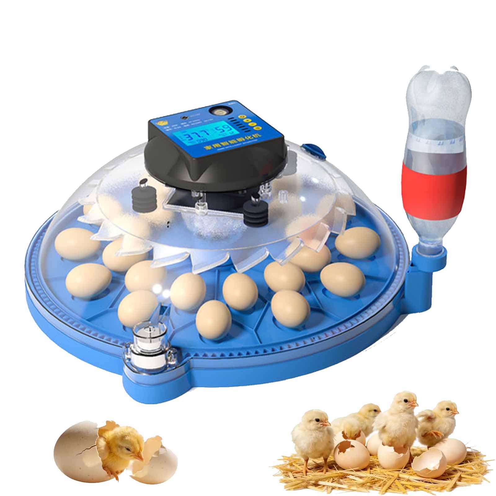 Incubadoras De 24/36 Huevos, Máquina Incubadora De Aves Totalmente Automática con Bandeja Giratoria De 360°, Ovoscopio, Visión De 360°, Diseño Eléctrico Dual para Pollos