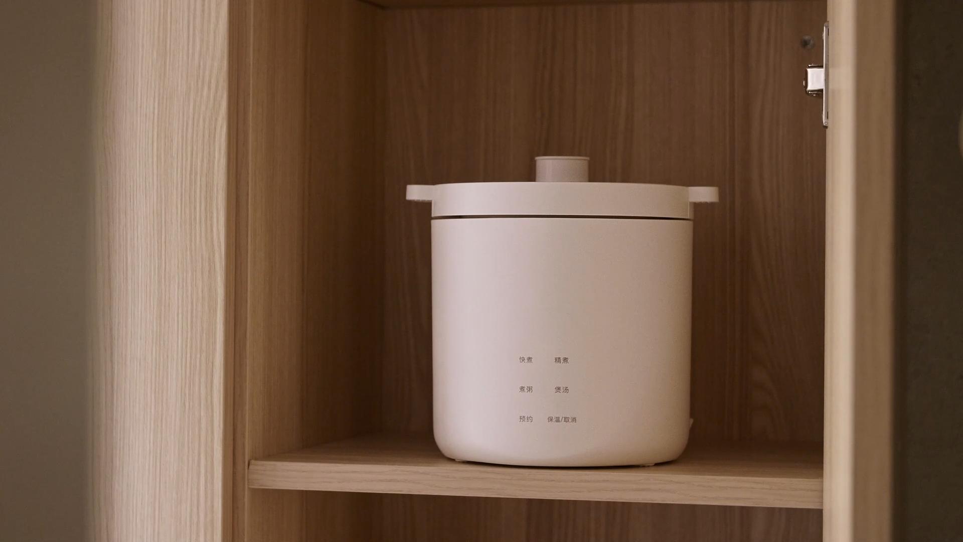 Amazon.com: Olayks Mini Rice Cooker 2 Cup Uncooked, Small Electric