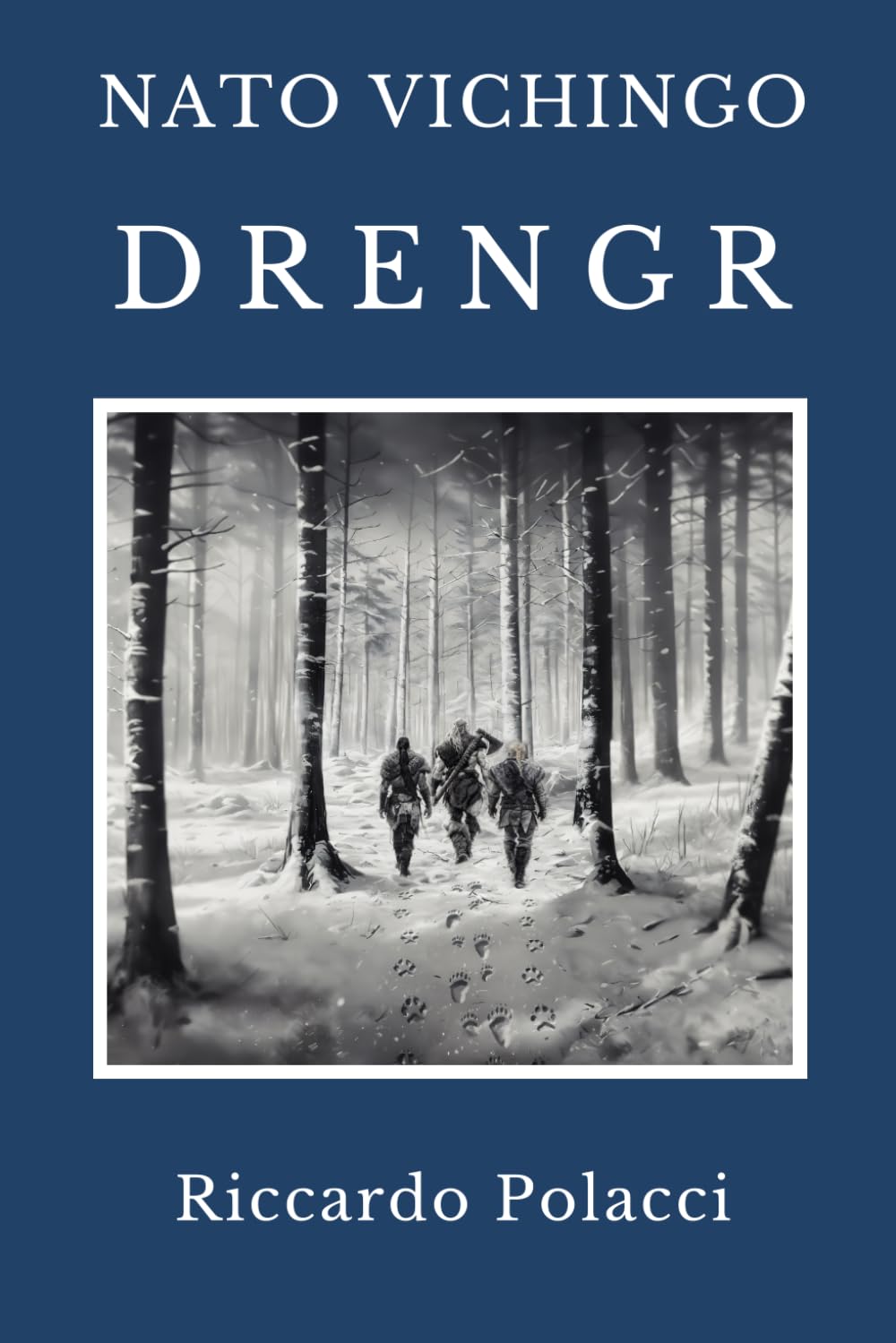 Nato Vichingo: Drengr: Terzo libro della saga di Nato Vichingo