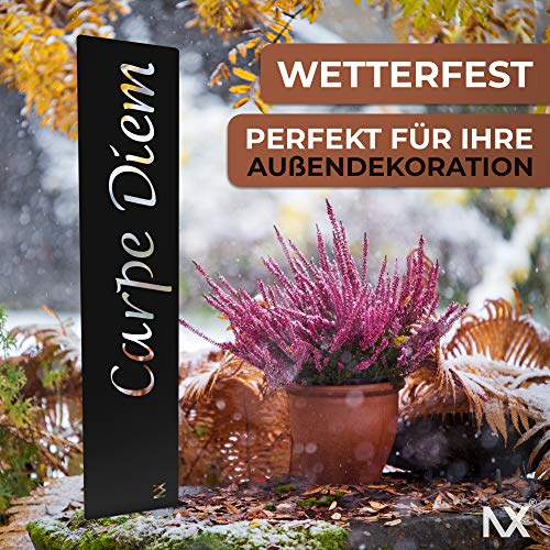 tradeNX Gartenstecker Schwarz | Metall | Gartenschild Gartendeko Terrasse Schild in Schwarzoptik (Carpe Diem) - Image 4