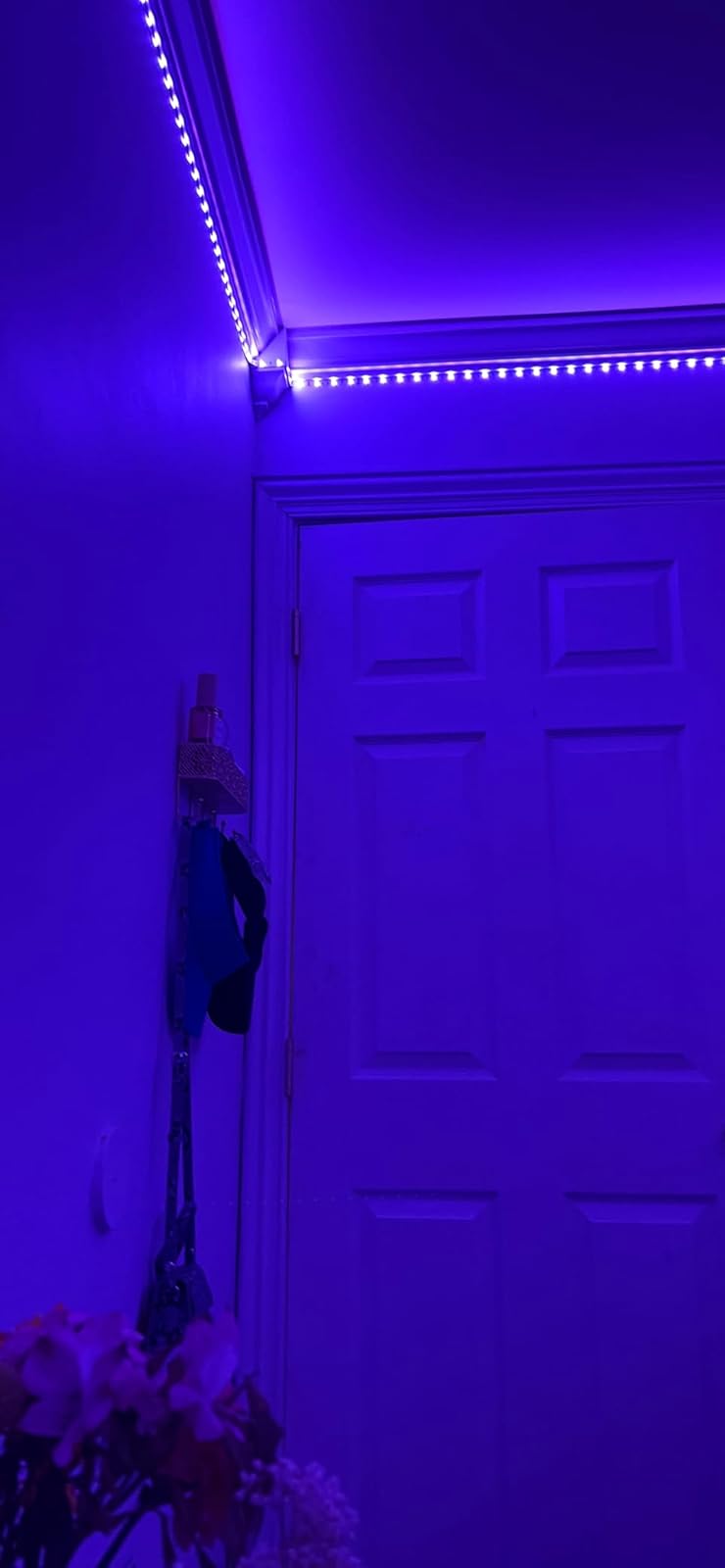 3.5" Door Hinges, 5/8" Radius photo review