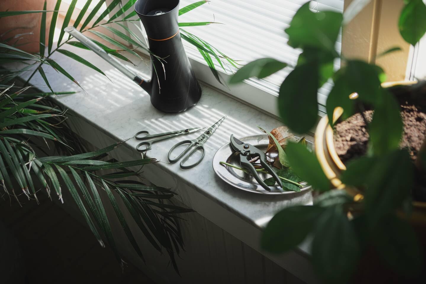 Fiskars Set di Potatura, 3 Pezzi, Cura delle Piante, Cesoie per Piante con Supporto, Forbici per Piante e Fiori, Acciaio Inox/Plastica, Verde Scuro/Nero, 1075317