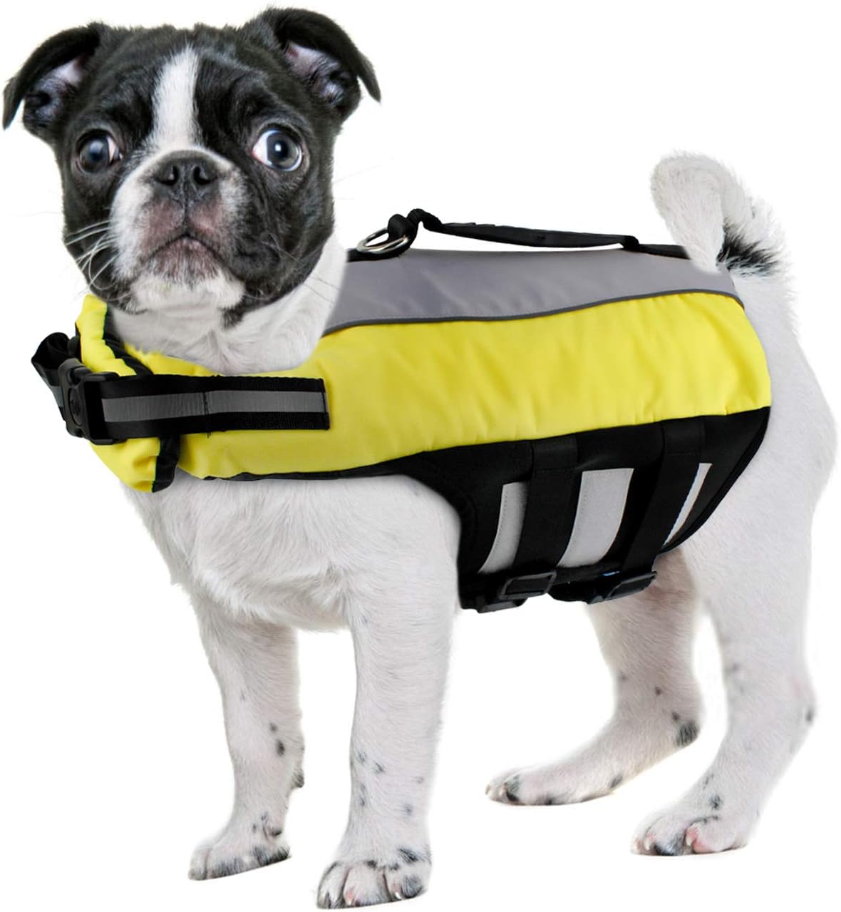 LESYPET Dog Life Jacket, Small Dog Life Vest for Small Dog Swimming Inflatable