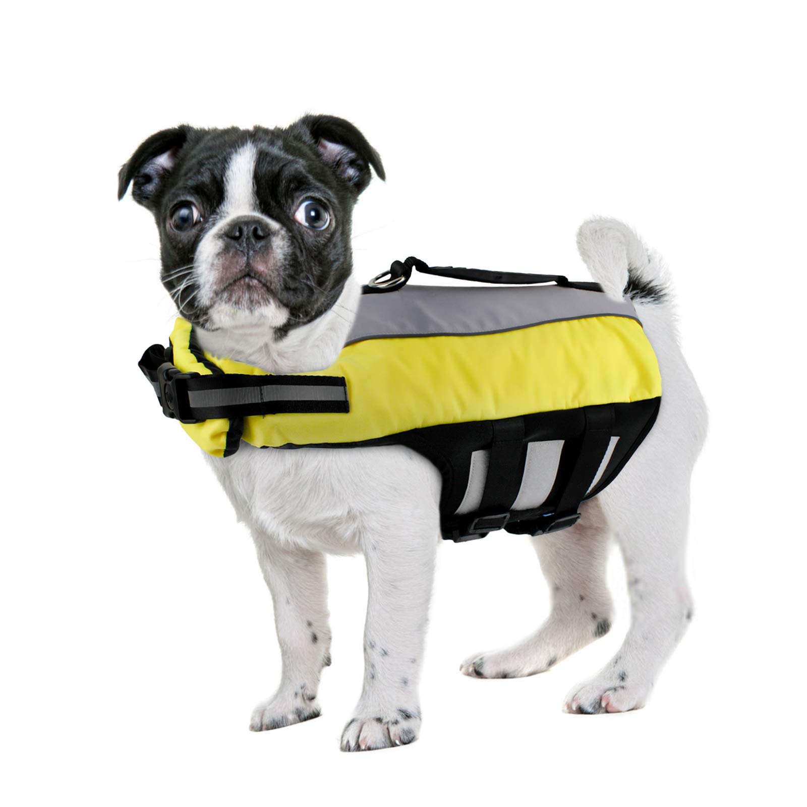 Are Dog Jackets Necessary