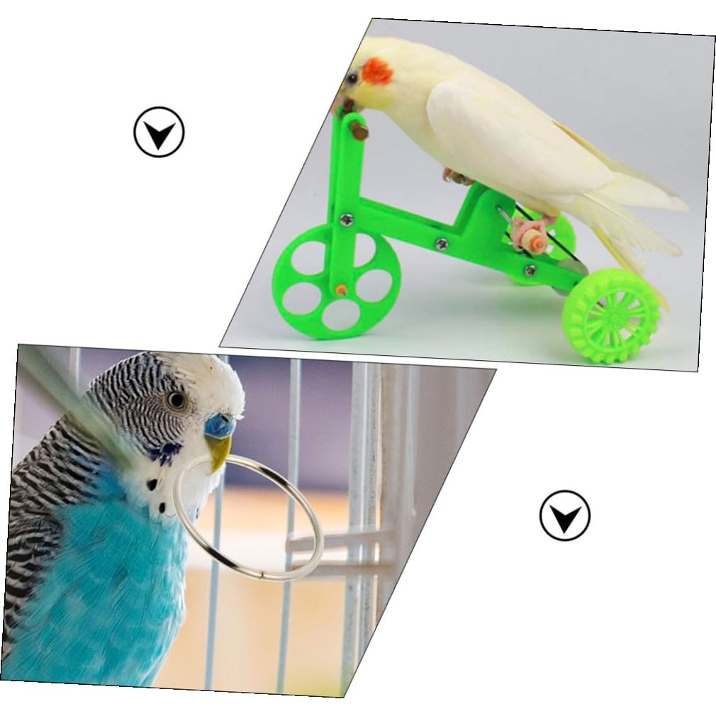 minkissy 3 Set bicicletta pappagallo giochi per pappagalli giochi pappagalli l'uccello uccelli coda di cono oggetti di scena Giocattolo ferro da stiro
